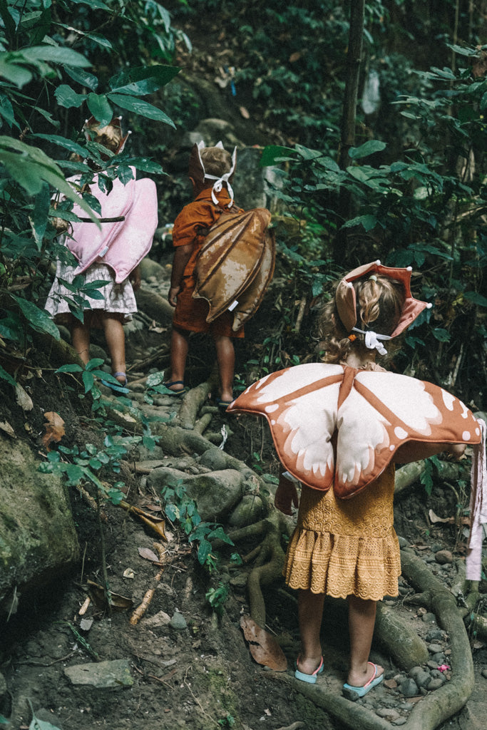Brown Dragon Fabric Wings
