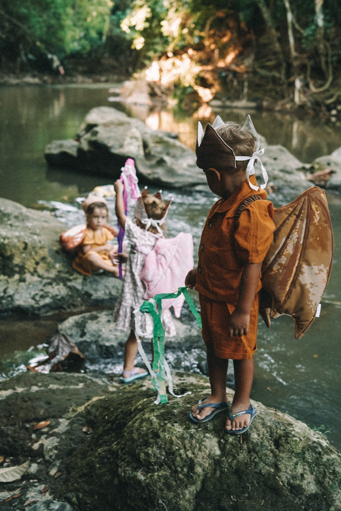 Brown Dragon Fabric Wings
